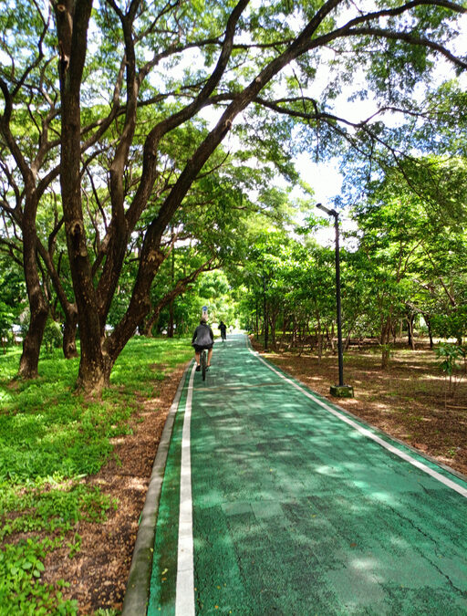 green corridors cycling