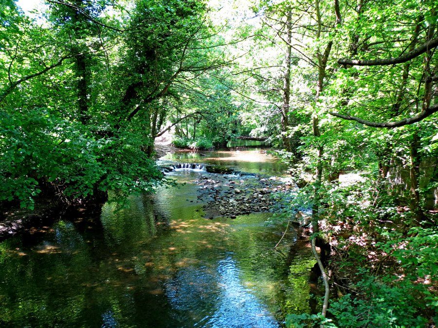 Mladejka caves